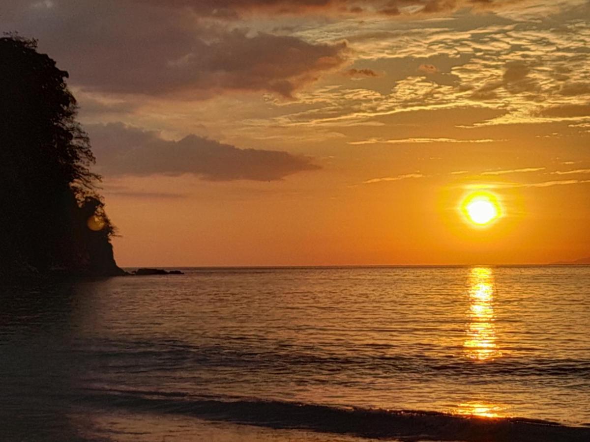 Quebrada GanadoCabinas Playa Agujasアパートメント エクステリア 写真